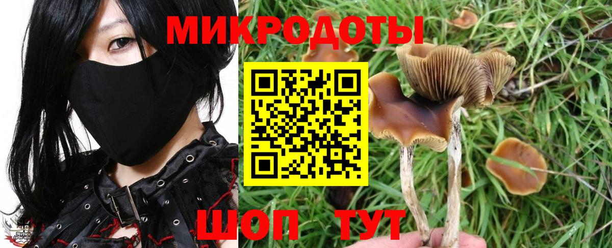 Псилоцибиновые грибы прущие грибы  Галлюциногенные грибы GOLDEN TEACHER  Вход с VPN  Шебекино 